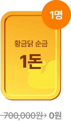 황금닭 순금 1명