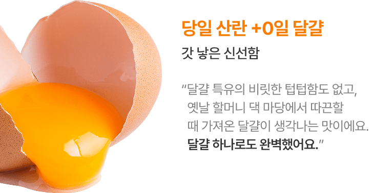당일 산란 +0일 달걀 갓 낳은 신선함 “오늘 낳은 달걀이 가장 맛있죠”
